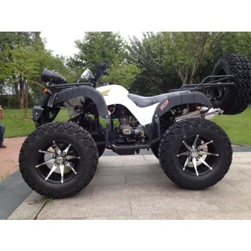 ATV Electric Beach Buggy All Terrain vehicle