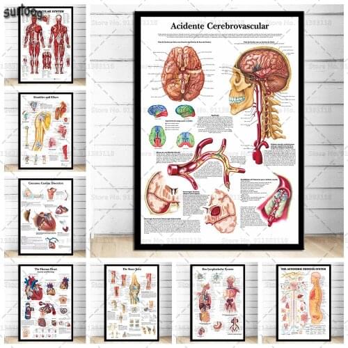 Anatomical Chart Human Body Anatomy Medical Poster Prints Wall Canvas Painting Posters Picture for Living Room Home Decoration