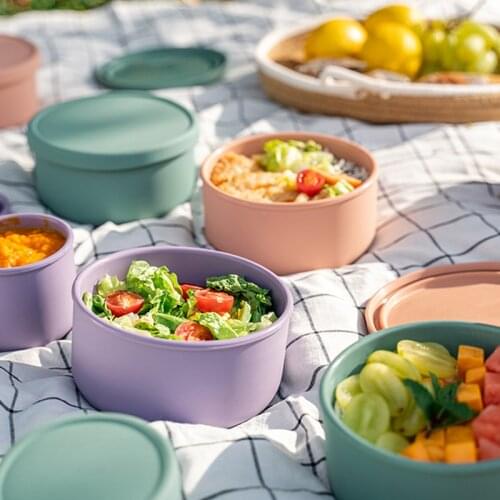 New Silicone Picnic lunch box With Lid Portable Vegetable and Fruit Fresh-keeping Box Microwave Heating Food Box
