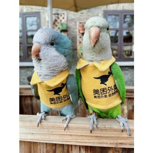Pet parrot bird spring, summer, autumn and winter clothes thin and thick flight clothes can be customized for takeout clothes