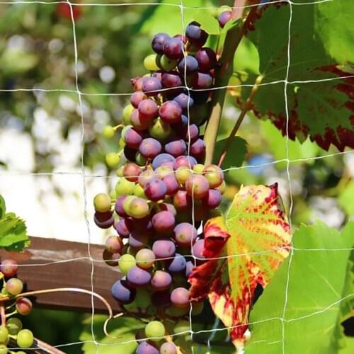 Plant Trellis Netting Heavy-duty Polyester Plant Support Vine Climbing Hydroponics Garden Net Accessories Plant Climbing Net