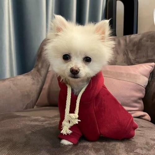 Fashion Dog Hoodie Winter Warm Pet Coat Jacket Sweater Clothes Small Medium Dogs Schnauzer French Bulldog Pug Dropshipping BGC16