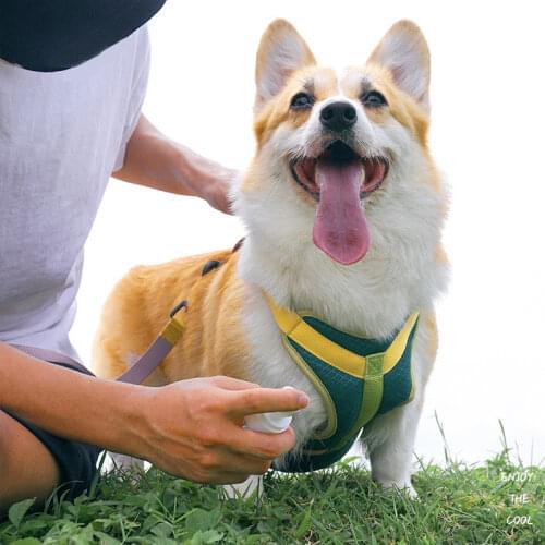 Pet Harness + Leash Set Training Walking Leads for Small Cats Dogs Floral Print Harness Collar Adjust Leashes Set D5087