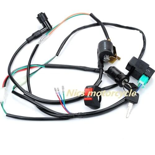 Complete Kick Start Engine Wiring Harness Loom 50cc 125cc 140cc PITPRO Dirt PIT Bike Lifan BSE