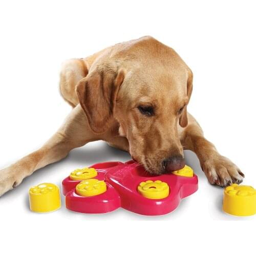 Dog Interactive Games Puzzle Toys Dog Food Puppy Fun IQ Educational Treat Box Slow Feed Bowl Nontoxic Food Plate Dish
