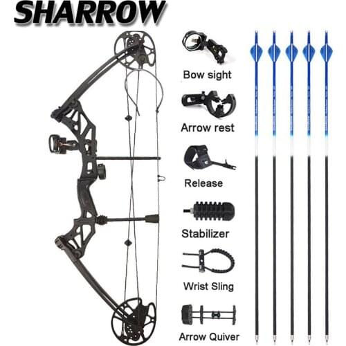 1 Set Archery 30-70 lbs Compound Bow IBO 320 fps Fishing Shooting Ourdoor 16-31inch Hunting Bow Draw Length Sports Bow And Arrow