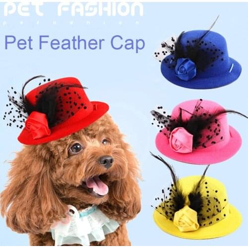 Pet Dog Cap Nobleman Cap Pet Dog Cat Teddy Bomei Pet Adornment Hat Fashion Beauty and Magnificentl Pet Products Feather hat