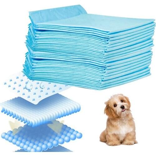 Pet Disposable Pet Urine Pad Diaper Dog Cat Deodorant Absorption Pee Training Indoor Outdoor Child Baby Absorbent Pads