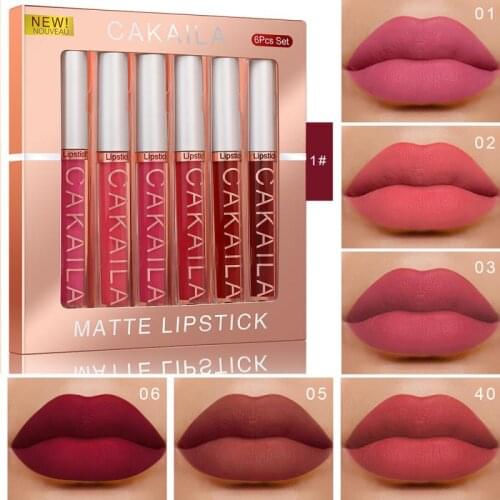 6PCS/set Matte Velvet Lip Gloss Liquid Lipsticks Waterproof Long Lasting Nonstick Cup Lipgloss Makeup Sexy Lip Tint Glaze TSLM1