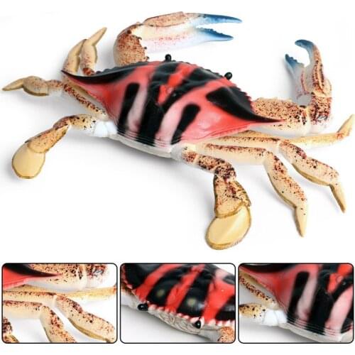 2 Kinds Portunid Animal Figure Collectible Toys Sea Animal Cognition Action Figures