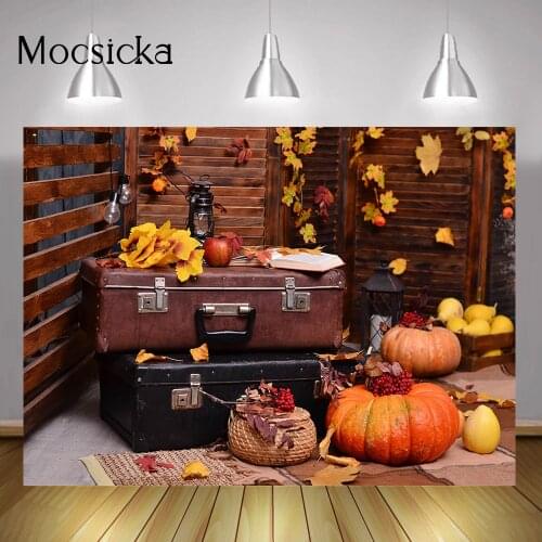 Autumn Newborn Pumpkin Birthday Portrait Backdrop Fall Falling Leaves Cake Smash Background Thanksgiving Festival Photo Shoot