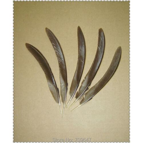 50Pcs/Lot!10-12cm Rarely Nature Curved Golden Pheasant Quill Feathers, Golden Pheasant Feathers,Plumas,feathers for crafts