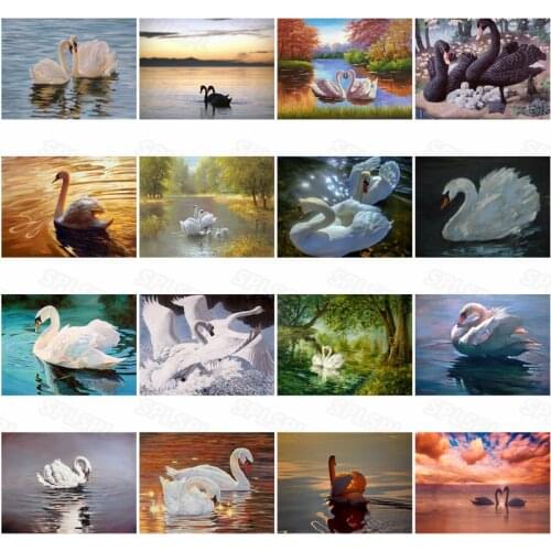 Diamond Painting Swans Haughty White Swan Niche Unique Black Swan Playing In The Lake Color Realistic Style Oil Painting Poster
