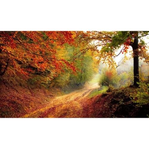 100% Full 5D Diy Daimond Painting Cross-stitch Autumn Scenery 3D Diamond Painting Full Rhinestones Paintings Embroidery Gifts