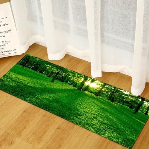 3D Scenic Printed Entrance Doormat Absorbent Rugs for Kitchen Bathroom Soft Living Room Bedroom Floor Carpet Home Hallway Mats