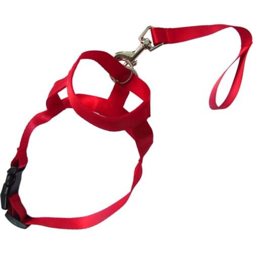 Dog Mouth Muzzle Adjustable Head Collar Walk Training Loop Stop Pulling Halter Pet Accessories AUG889