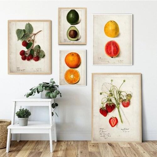 Fruit Avocado Strawberry Anatomy Poster Canvas Print Paints Wall Art Painting Canvans Printing Kitchen Home Wall Decoration Art