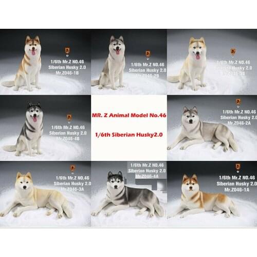12" Action Figure 1/6 Dog Mr.Z MRZ046 Siberian Husky Animal Pet Statue Model Toy in stock