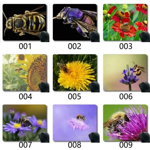 Mouse Pad Funny Customized,Bee Macro Approach Insect Blossom Bloom Mousepad