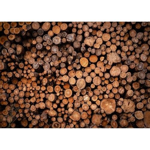 Wooden Stake Photo Background Computer Printed Fond Backdrop for Baby Children Portrait Pets Toy Photocall Photography Props