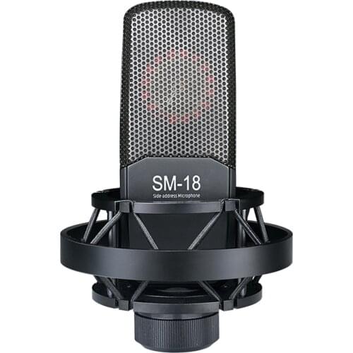 Takstar SM-18 Side Address professional recording microphone use for vocal / instrument / professional recording