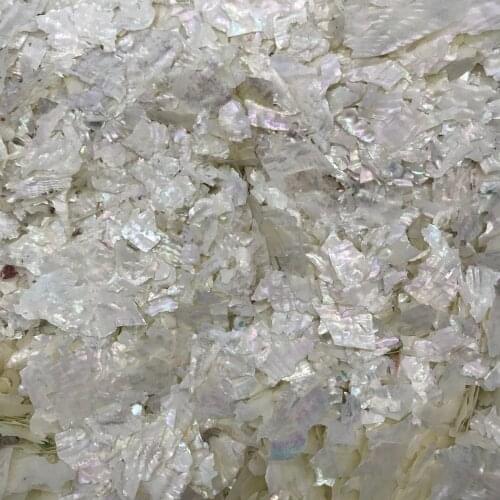 1KG abalone haliotis gigantea manicure pedicure crushed iridescent seashell nail powder glitter irregular patch chip pcs slice