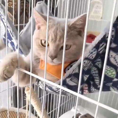 Comfortable Cat Hammock Adjustable Buckle Breathable Canvas Pet Soft Hanging Bed for Summer Cats Kitten Accessories Supplies