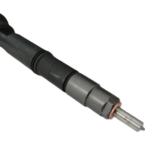 Common rail injector 0445110519