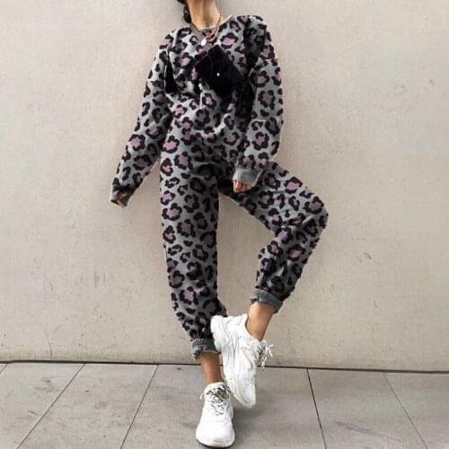 Women Hoodies Two Piece Sets Autumn Winter New Arrival Drop Sleeve Pullover and Print Pants Suit Casual Tracksuits Loose Joggers