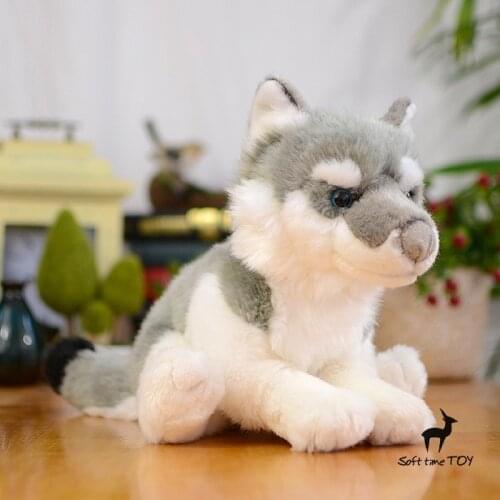 Soft Children 's educational toys Gifts Husky doll Real life Plush Toy Coyotes Dolls
