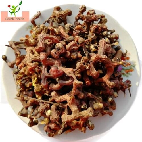 Dry Hovenia Dulcis Fruits