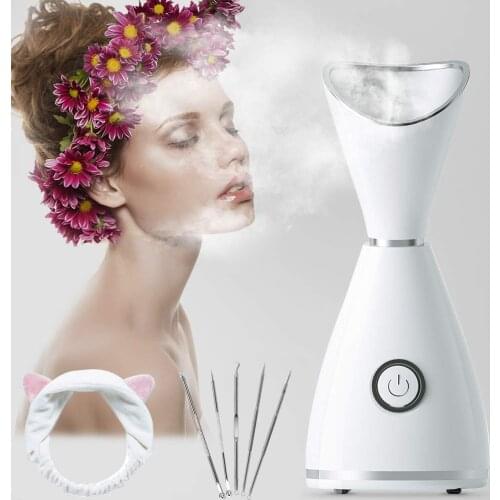 Hot Mist Facial Steamer RGCTL Nano lonic Warm Mist Humidifier Atomizer Sprayer Moisturizing Face SPA with 5 Piece Stainless