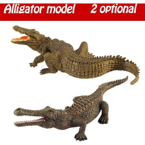 The model of wild animal model simulation crocodile of childrens toy teaching cognition environmental protection solid