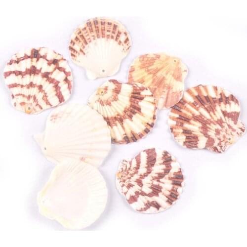 4Pcs Natural Sector Shells Home Decoration Accessories One Hole Seashell For Handmade Jewelry Pendant DIY Making Crafts Decor