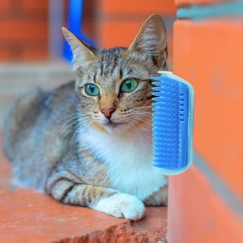 Cat Pet Self Groomer Brush For Cat Grooming Tool Hair Removal Comb Dogs Cat Brush Wall Corner Massage Hair Comb With Catnip