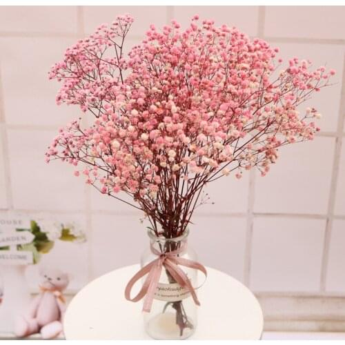 Preserved Dried Flowers Gypsophila Baby Breath Million Stars Flower Bouquet Flower Decoration Natural Plant Home Deco Mariage