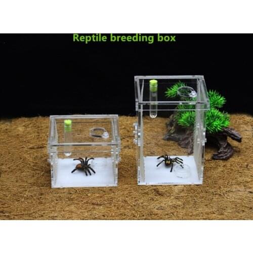 Removable Lid Clear Acrylic Reptile Moisturizing Feeding Box/ Worm Insect Breeding Box Insect