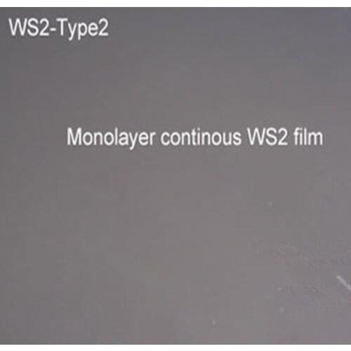 Tungsten disulfide 16: GaAs gallium arsenide substrate WS2
