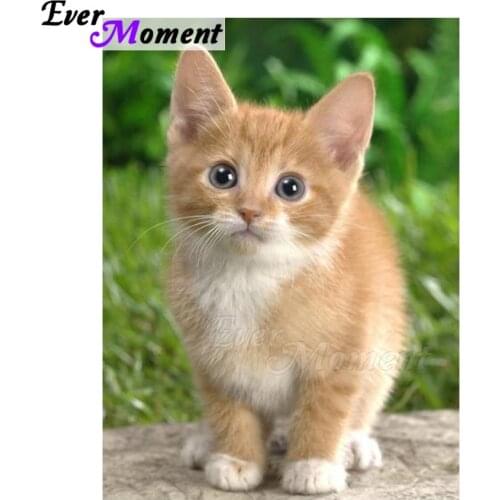 Ever Moment Diamond Painting Full Square Drill Cross Stitch Cat Animal Picture Of Rhinestone Diamond Embroidery 5D DIY ASF1362