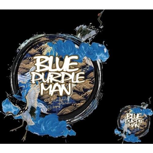 Chinese animal crane Patches for Clothes Iron on Red-crowned crane Heat Transfer Applique Diy Printed Patch Application Stickers