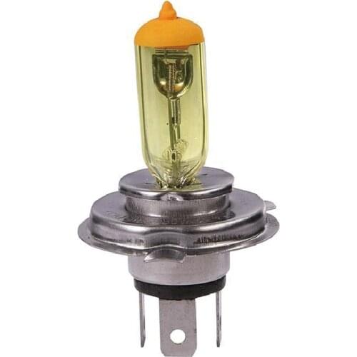 12V 55W 100W Hot Selling Heavy Duty H4 Headlight Auto Bulb