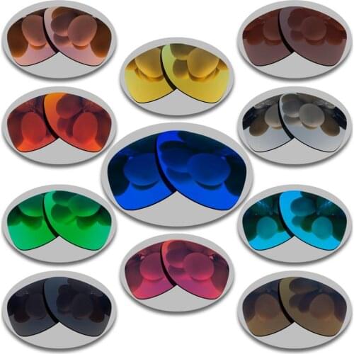 Polarized Sunglasses Replacement Lenses for-Dispatch 2 Frame - Varities