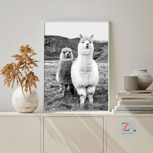 Alpaca black and white animal poster art camel pastoral style canvas painting Nordic home decoration modern