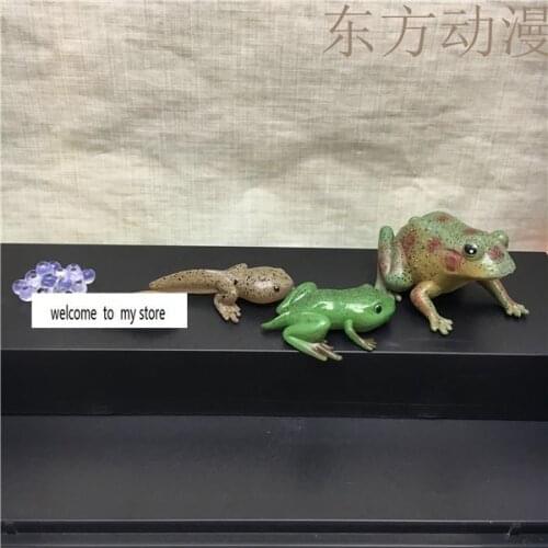Pvc figure frog history ornaments4pcs/set toys gift
