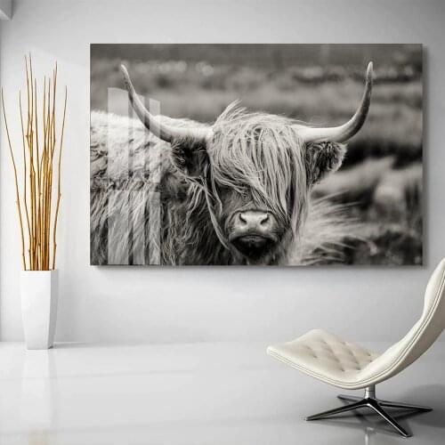 Black and White Scottish Highland Yak Canvas Painting Animals Posters and Prints Nordic Wall Art Pictures for Living Room Decor