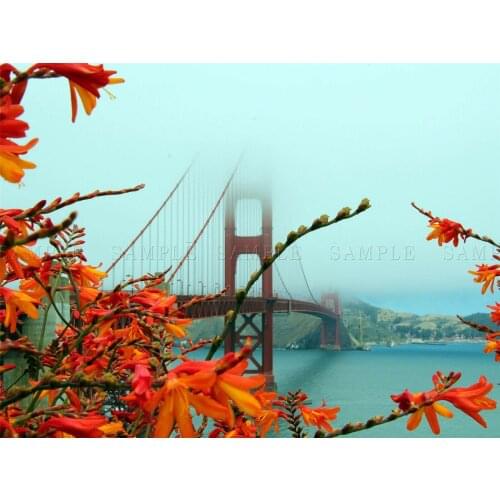 GOLDEN GATE BRIDGE SAN FRANSISCO PHOTO Art print Silk poster Home Wall Decor