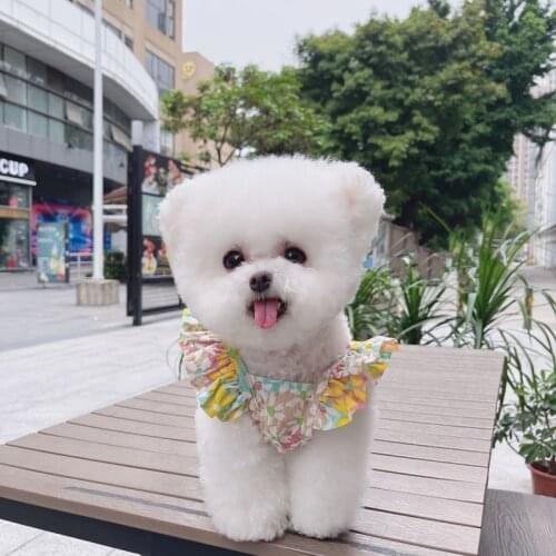 Pet clothes spring and summer floral flying sleeve short skirt dog cat summer breathable thin vest skirt