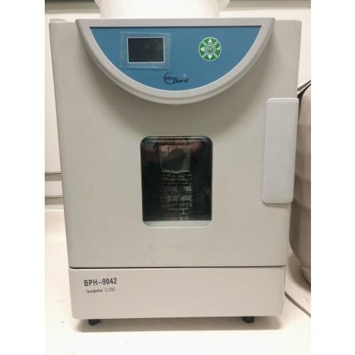 Precision Constant Temperature Incubator Bph9042 Laboratory Instrument (90% New)