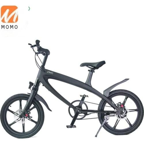 2020 Popular 36V 240W Pedal Assist Electric Bicycle