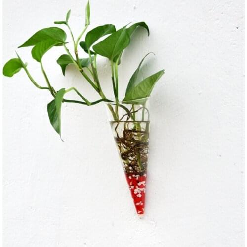 Circular Cone Glass Wall Hanging Vase Bottle for Plant Flower Decor Clear Wall Planter Home Hotel Restaurant Decor